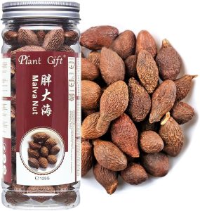 hạt ươi , hạt đười ươi , hạt ươi bay, quả đười ươi, malva nut, malva