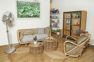 raw rattan cane. song mật, Malacca cane, Manau rattan