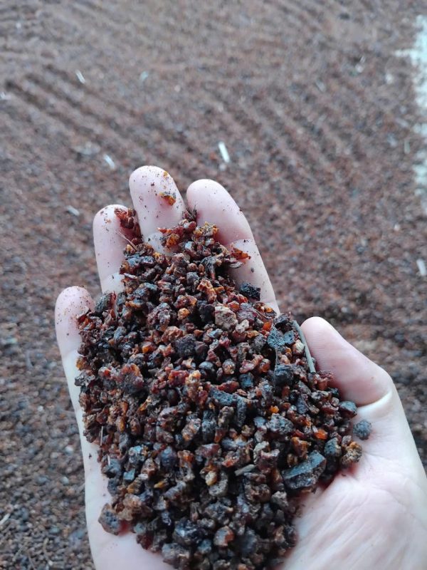 seedlac, seedlac vietnam, vietnam seedlac, raw seedlac