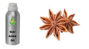 star anise oil, china star anise oil, chinese star anise oil, organic star anise oil, star anise china, star anise chinese, star anise organic oil, star anise vietnamese, vietnam star anise, 八角茴香油, 八角茴香油制造, 有机八角茴香油
