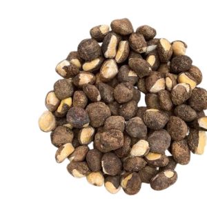 tung seed, vietnam tung seed, tung oil seed, hạt trẩu, quả trẩu, dầu trẩu
