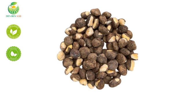 tung seed, vietnam tung seed, tung oil seed, hạt trẩu, quả trẩu, dầu trẩu