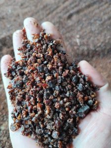 seedlac Vietnam, Vietnamese seedlac, natural seedlac, raw seedlac, seedlac supplier, seedlac for Shellac, lac resin, natural lac resin, Vietnam lac resin