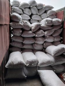 tung seed, tung seed vietnam , vietnam tung seed