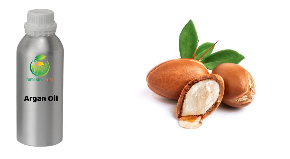 dầu argan, argan, argan oil, dầu argan giá sỉ, dầu argan sỉ, mua dầu argan