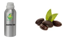 dầu jojoba, tinh dầu jojoba, jojoba oil, dưỡng da jojoba, dưỡng tóc jojoba, dầu jojoba nguyên chất, tinh chất jojoba, jojoba skincare, jojoba hair care, dầu jojoba làm đẹp