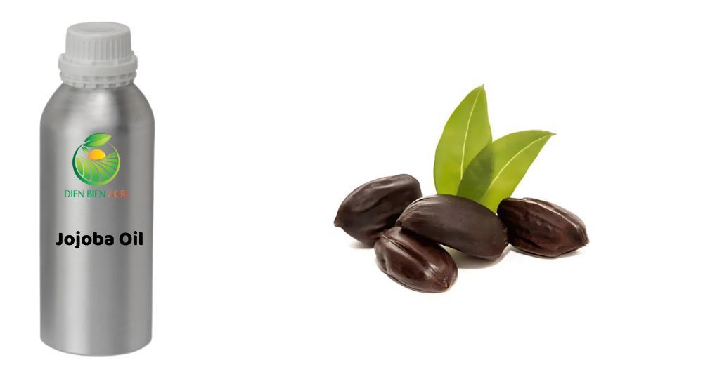 dầu jojoba, tinh dầu jojoba, jojoba oil, dưỡng da jojoba, dưỡng tóc jojoba, dầu jojoba nguyên chất, tinh chất jojoba, jojoba skincare, jojoba hair care, dầu jojoba làm đẹp